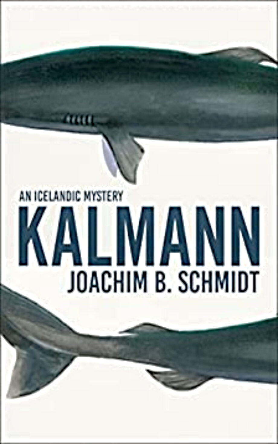 Book Review: Kalmann By Joachim B. Schmidt : Crimefictioncritic.com